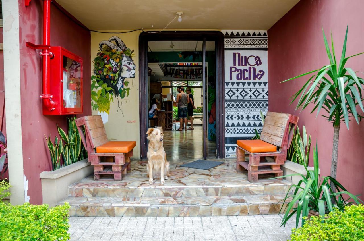 Hostel Nucapacha Γκουαγιακίλ Εξωτερικό φωτογραφία